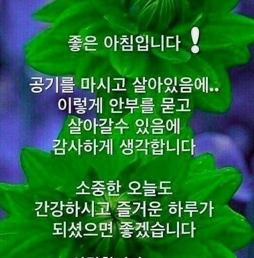 좋은 아침입니다