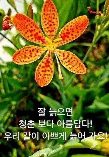 예쁘게 늙어가요