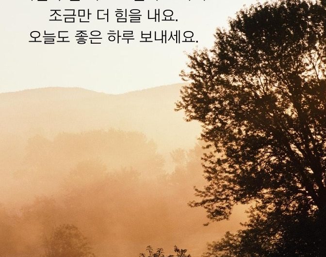 한주가 시작되었습니다