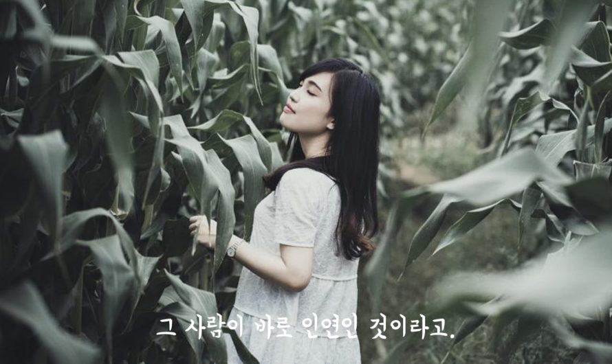 그 사람이 바로 인연인 것이라고.