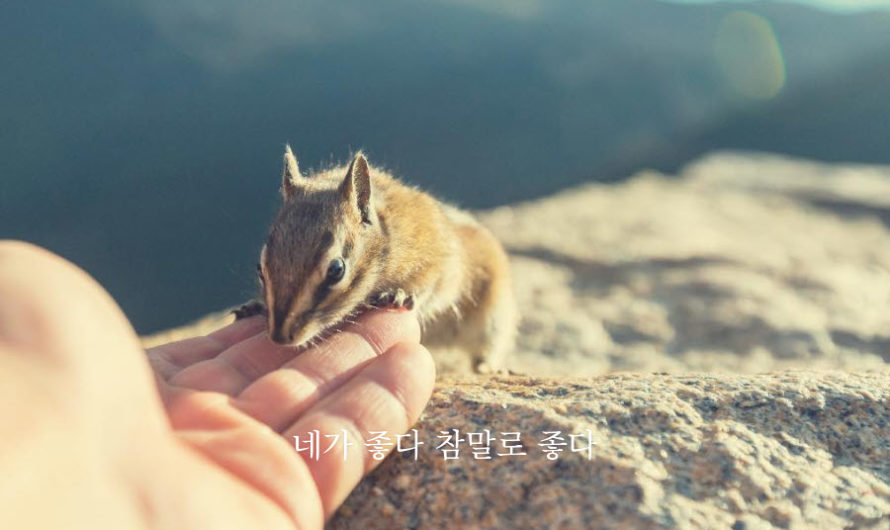 네가 좋다 참말로 좋다