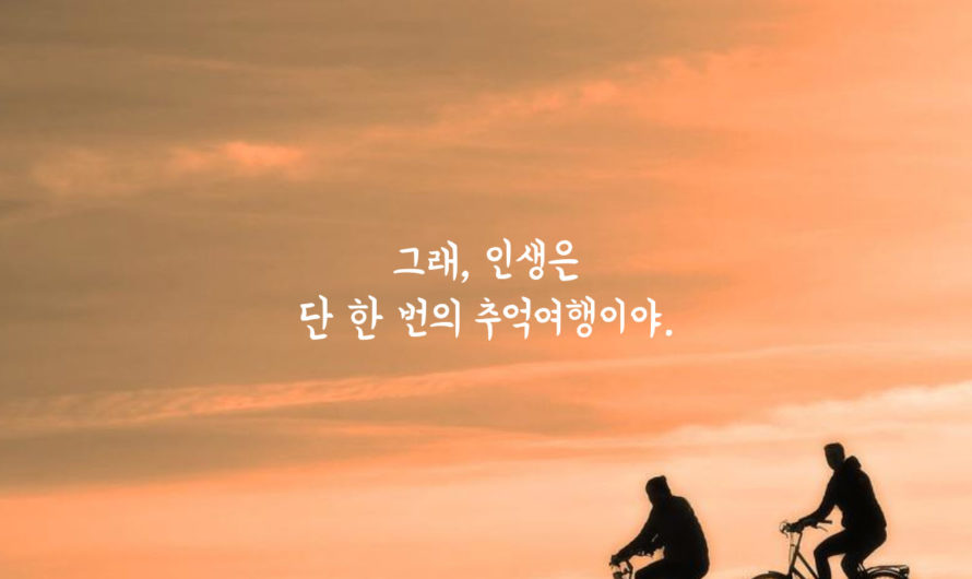 그래, 인생은 단 한 번의 추억여행이야.