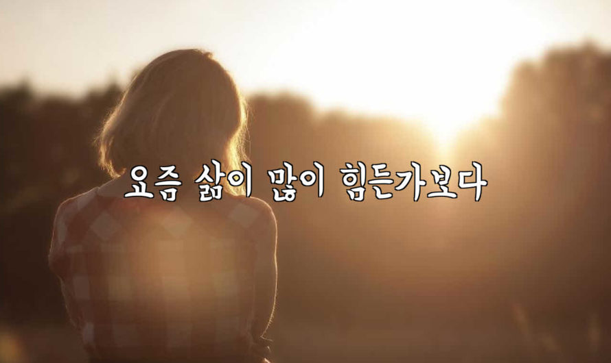 요즘 삶이 많이 힘든가보다