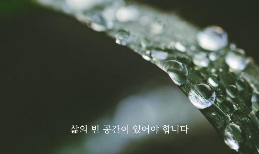 삶의 빈 공간이 있어야 합니다