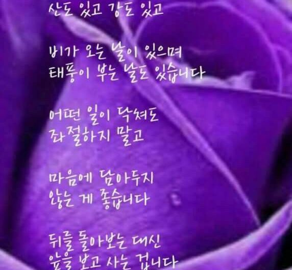 인생은 앞을 보고 사는 것~