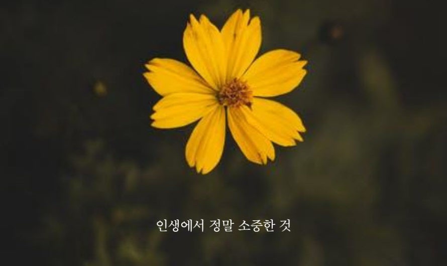 인생에서 정말 소중한 것