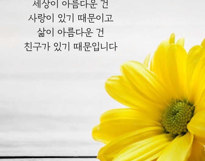 인생길 함께하는 친구