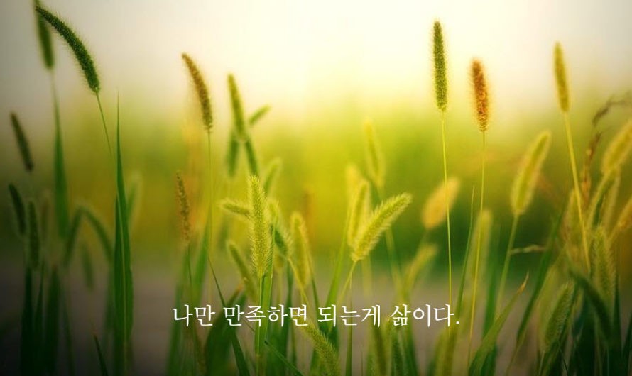 나만 만족하면 되는게 삶이다.