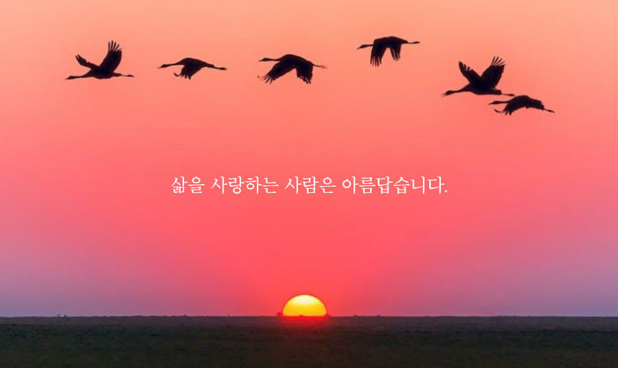 삶을 사랑하는 사람은 아름답습니다.