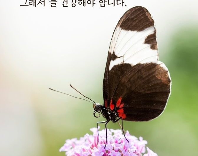 인생은 지금부터 시작입니다.