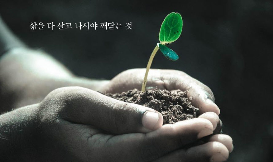 삶을 다 살고 나서야 깨닫는 것