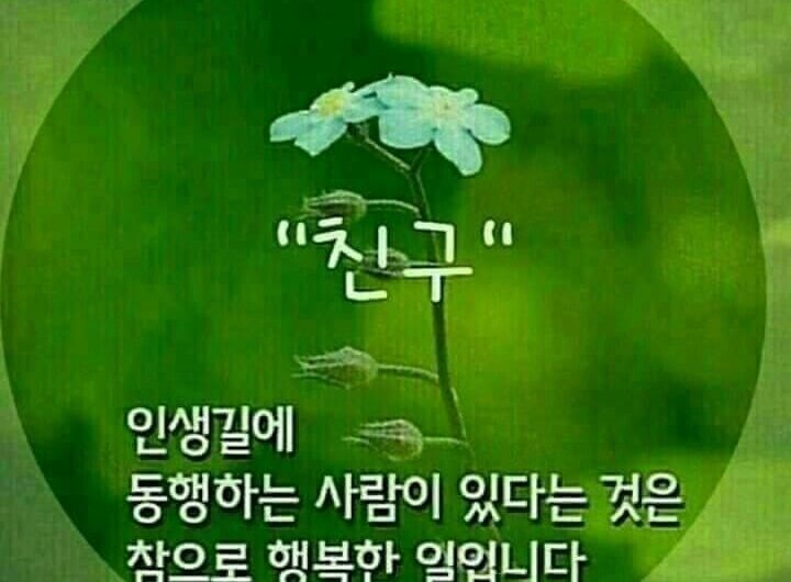 인생길에 동행하는 친구