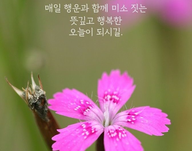 뜻깊은 오늘이 되시길