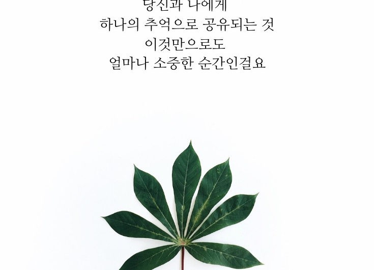 하나의 추억으로 공유되는 것