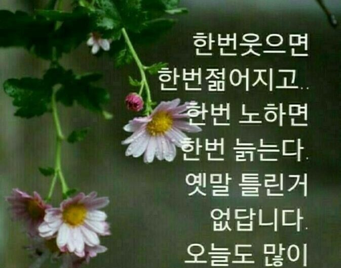 오늘도 웃는 날 되시길