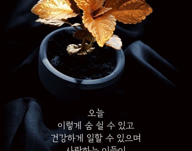 오늘 하루가 감사합니다