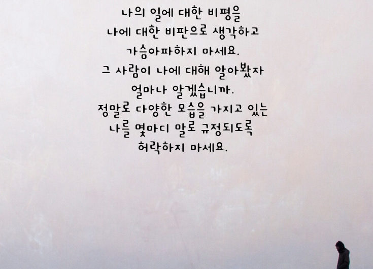 나의 일에 대한 비평