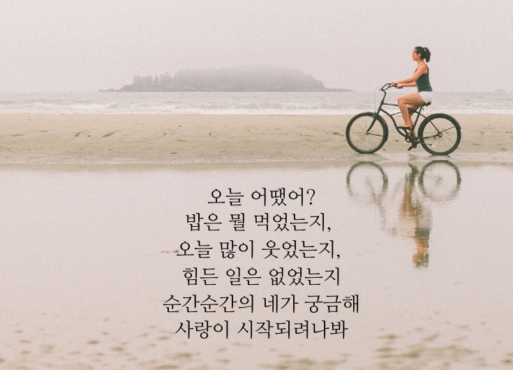 사랑이 시작되려나봐