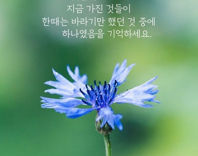 욕심갖지 마세요