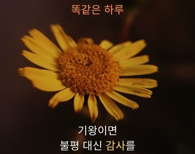 오늘 하루도 감사합니다