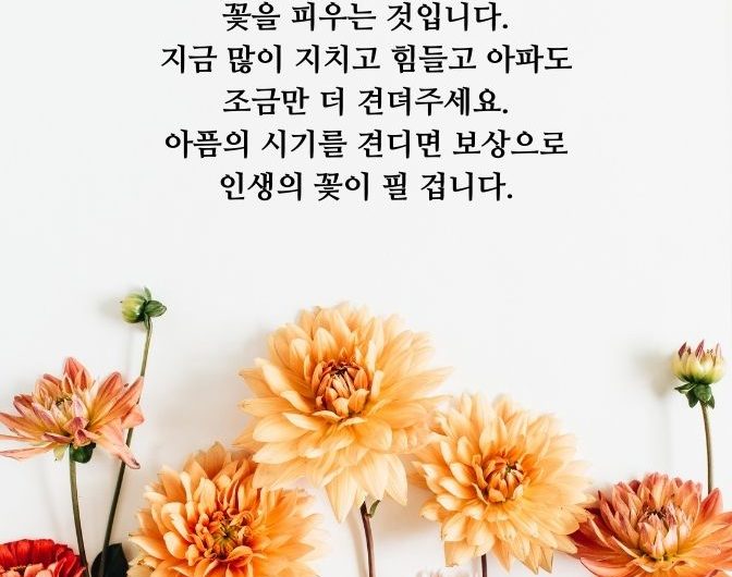 조금만 더 견뎌주세요.