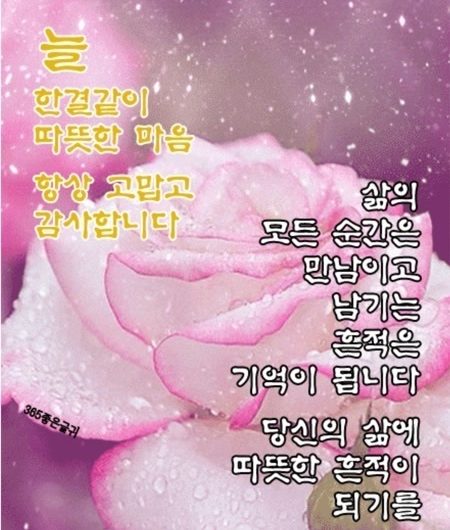 당신 삶의 흔적