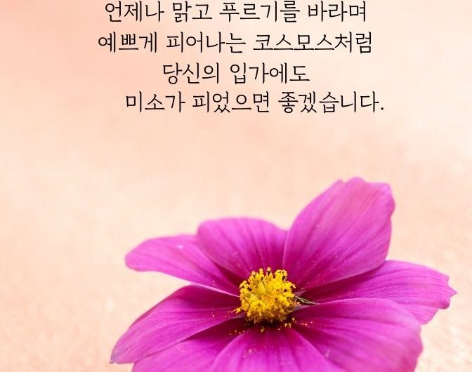 당신의 입가에도 미소가 피었으면