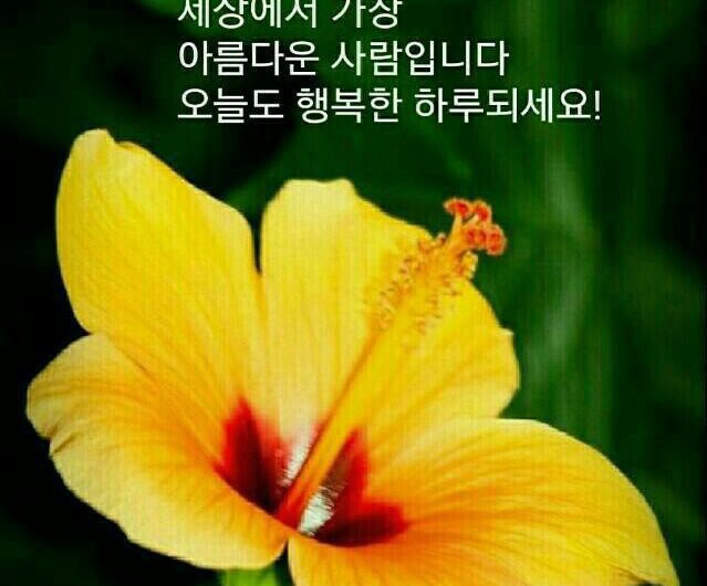 마음이 고운 당신