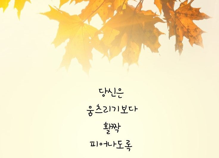 움츠리지 마요