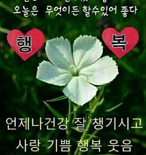 오늘은 무엇이든 할 수 있어 좋다.