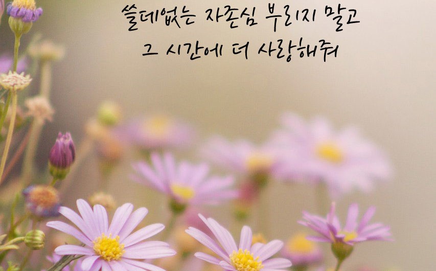 쓸데없는 자존심 부리지 마