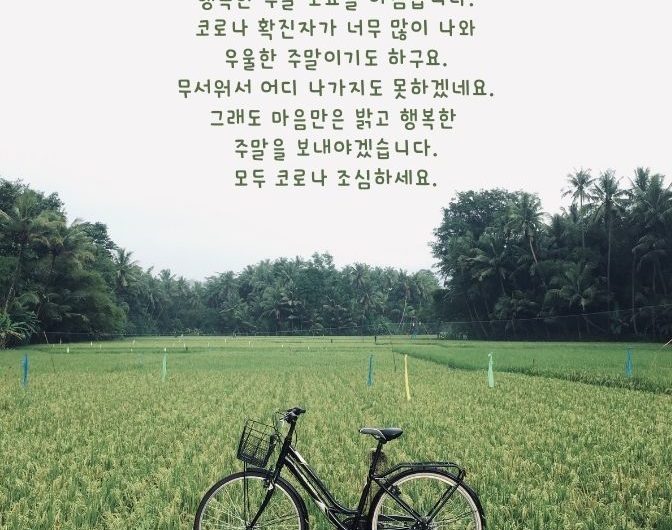 행복한 주말 토요일 아침입니다