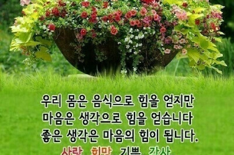 좋은 아침, 좋은 생각