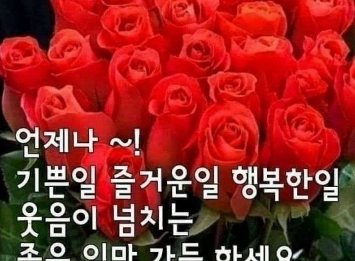 좋은 일만 가득하세요