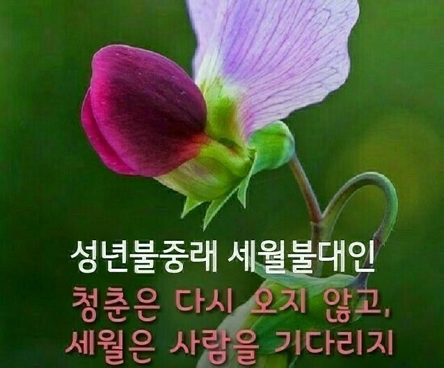 고운 빛깔로 물들어가요