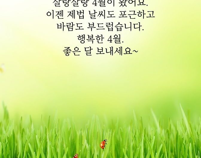 살랑살랑 4월이 왔어요