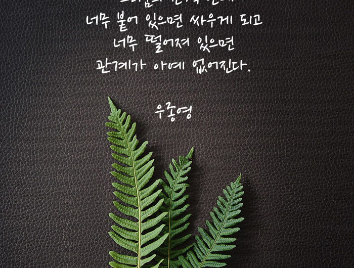 그리움의 간격