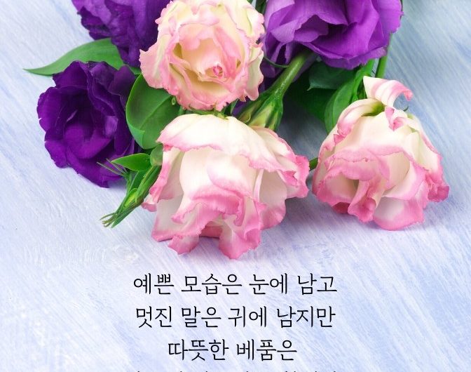 따뜻한 베품