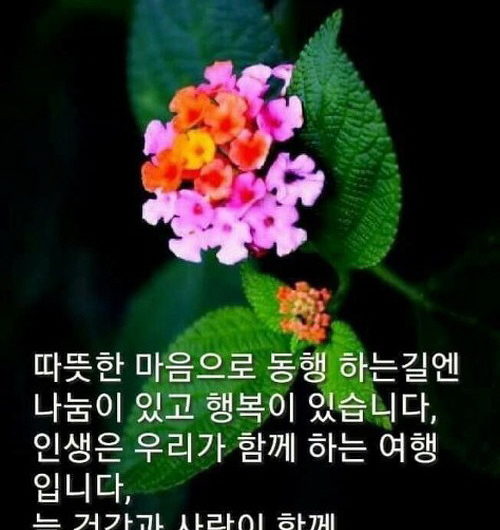 따뜻한 마음으로 동행하는 길