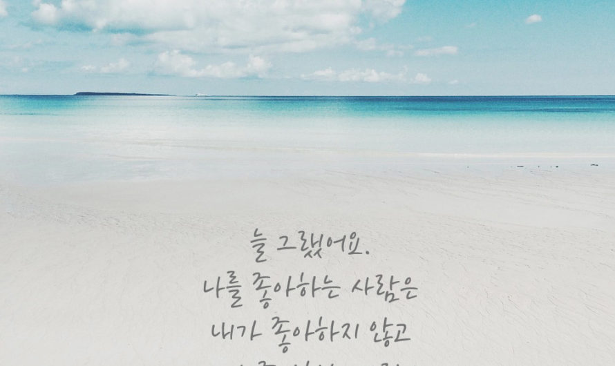 늘 그랬어요