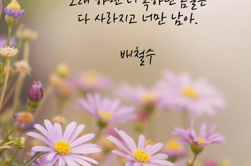 좋아하는 일이면 오래 해