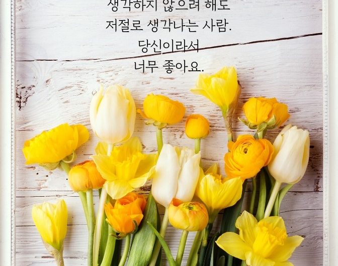 당신이라서 너무 좋아요