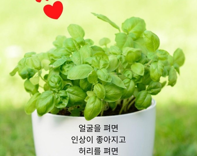 오늘도 활짝 웃으세요