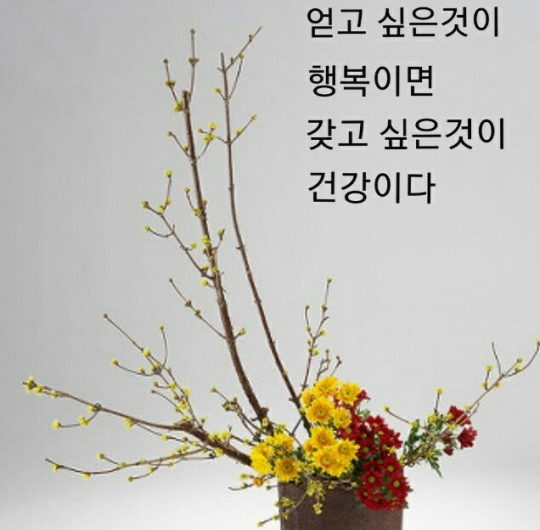 사랑, 행복, 건강