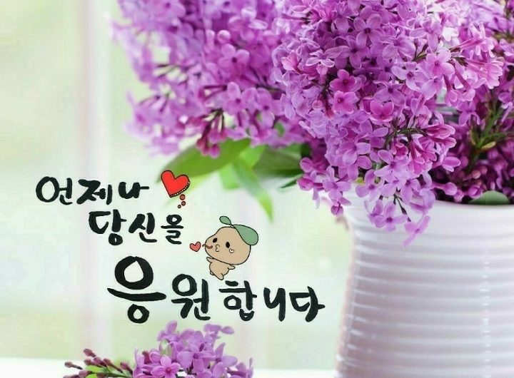 힘내세요~