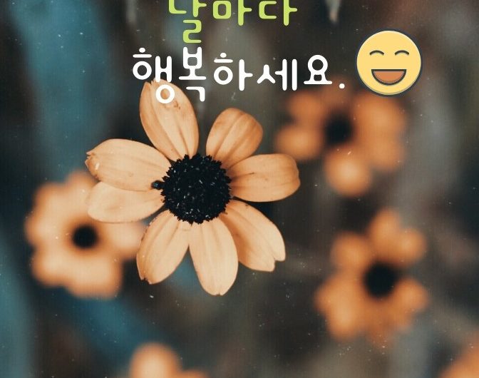 항상 감사합니다