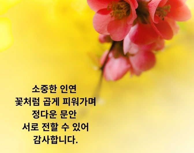 소중한 인연