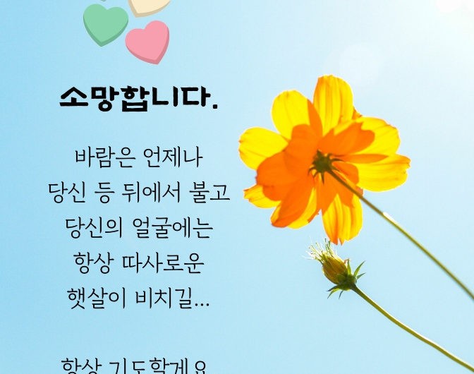 소망합니다