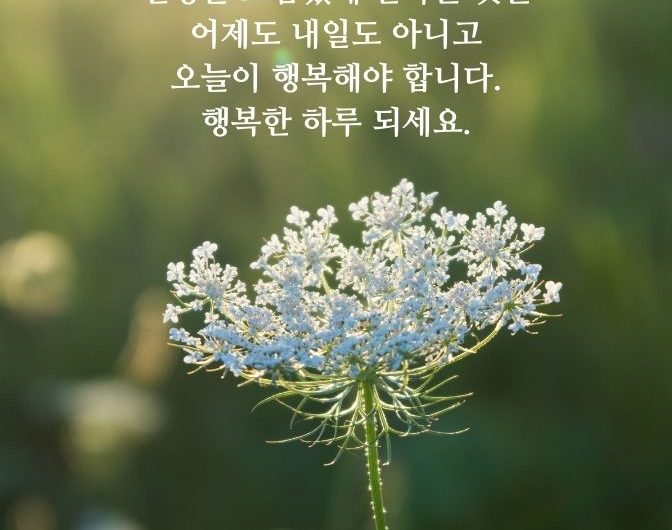 오늘이 행복해야 합니다