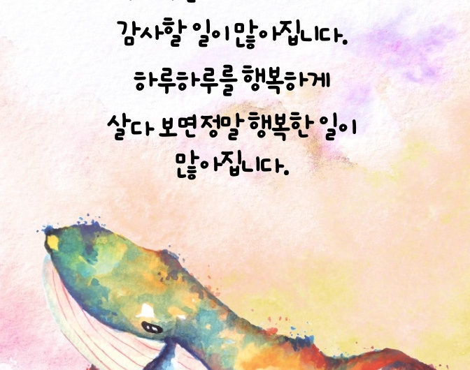 하루하루를 감사히 살다 보면